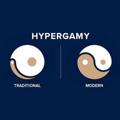 Traditional vs Modern Hypergamy Graphic